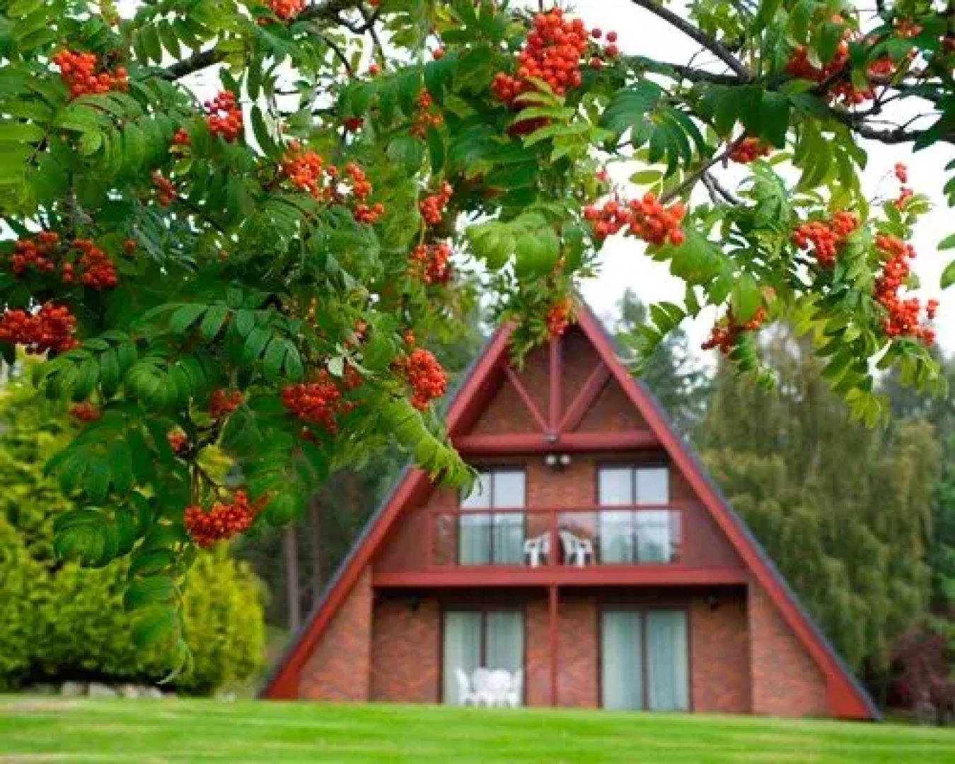 Coylumbridge Highland Lodges Club, Inverness-Shire, Scotland