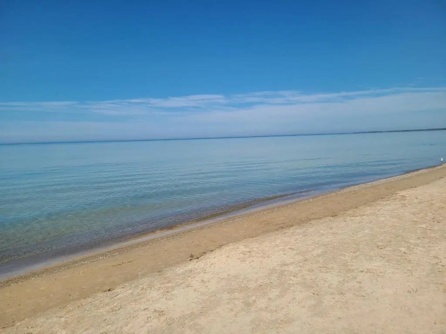 Beachy Chic-Completely renovated- Steps to the Beach