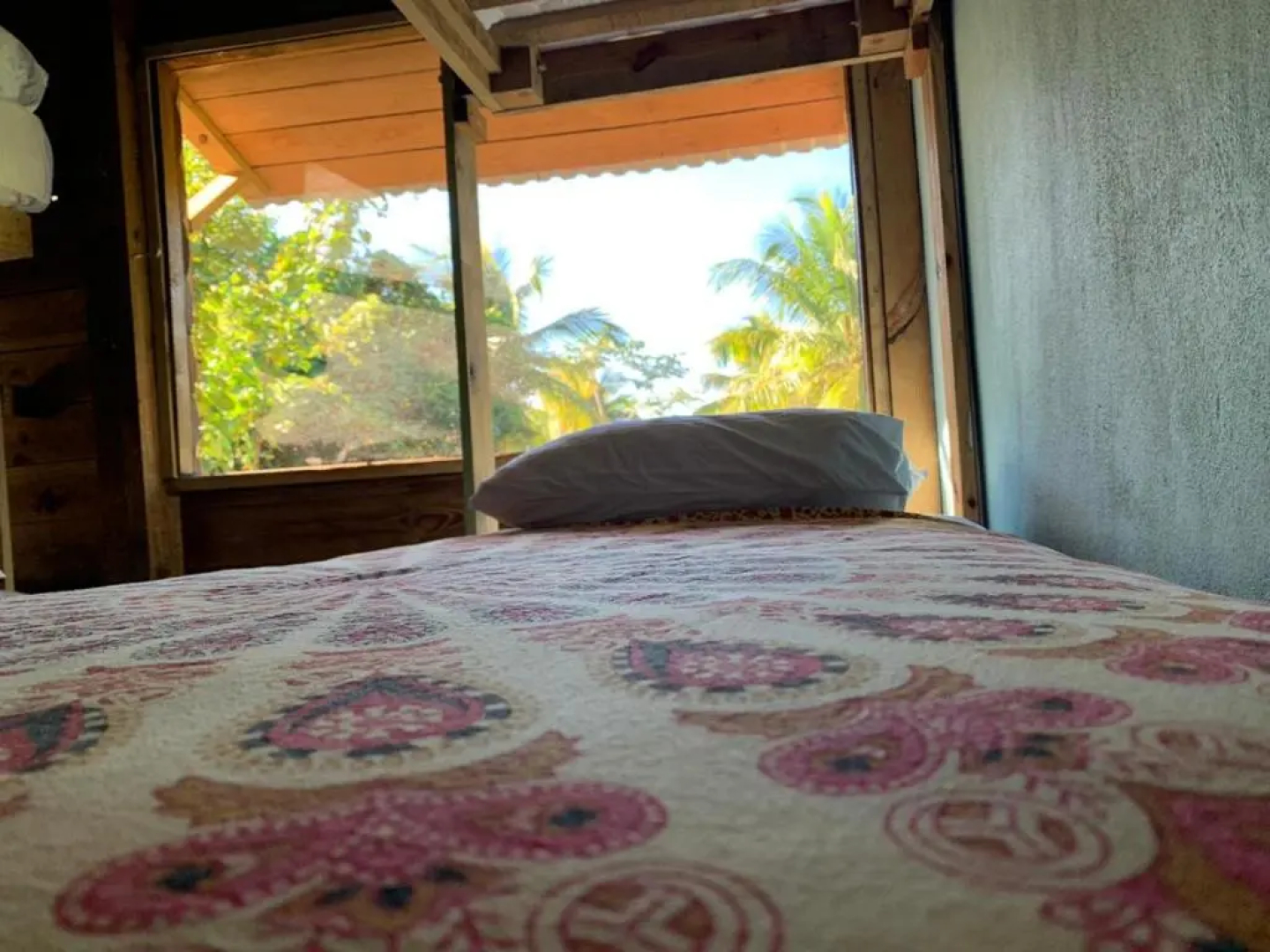Aventura Rincon Ecolodge