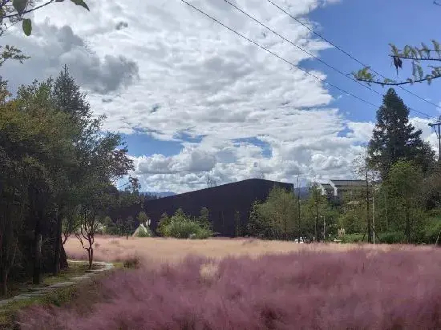 Tengchong Daoqi Panoramic Hot Spring Homestay