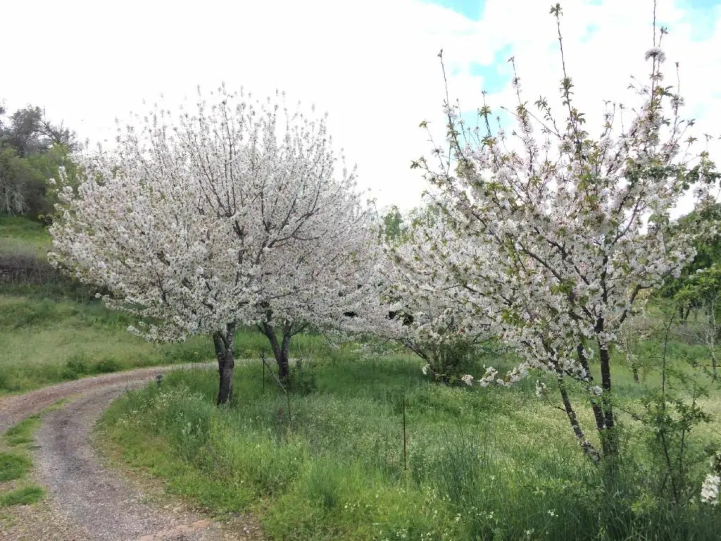 Casas Rurales Finca El Tornero
