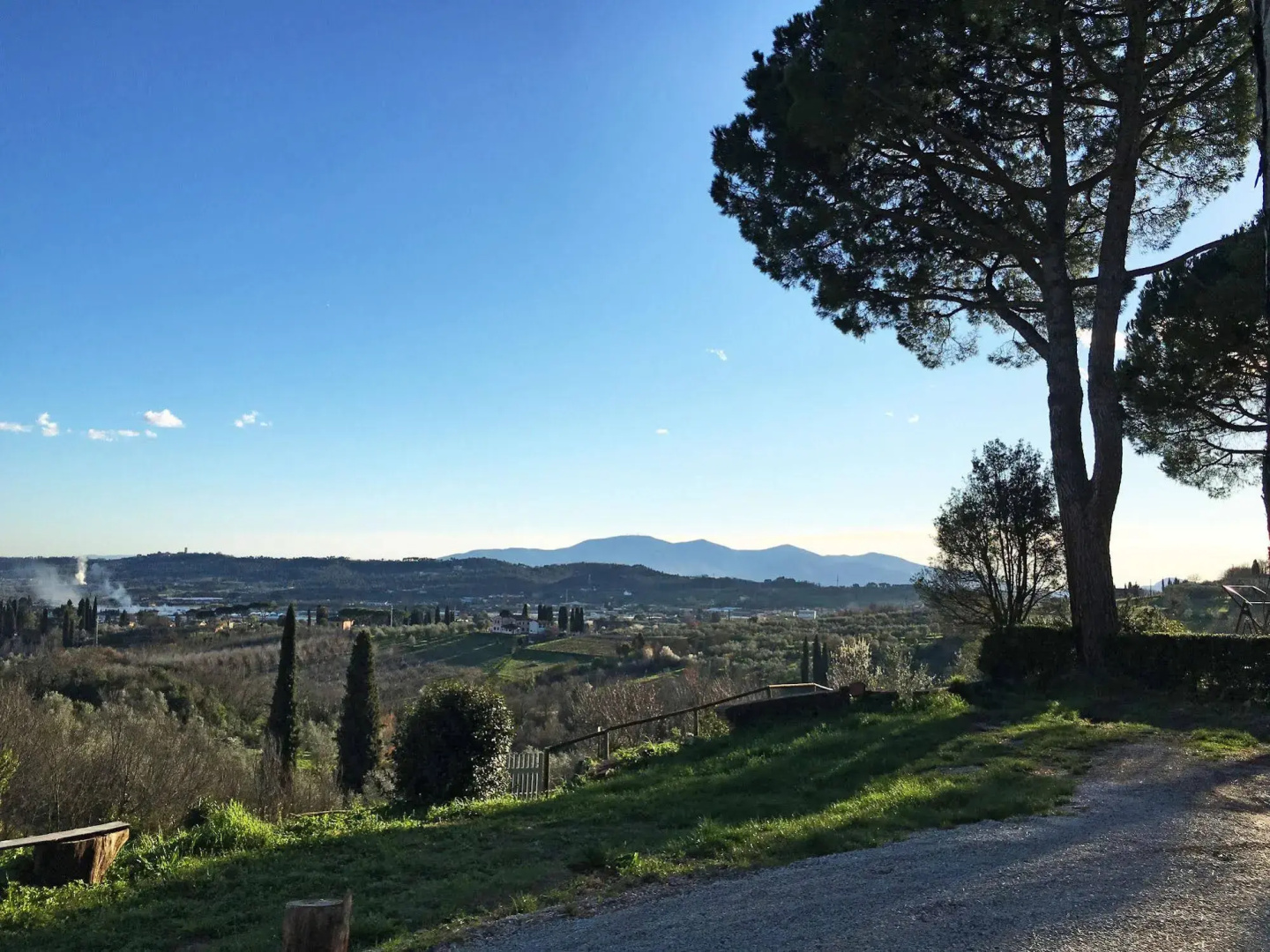 Villa Colle Olivi