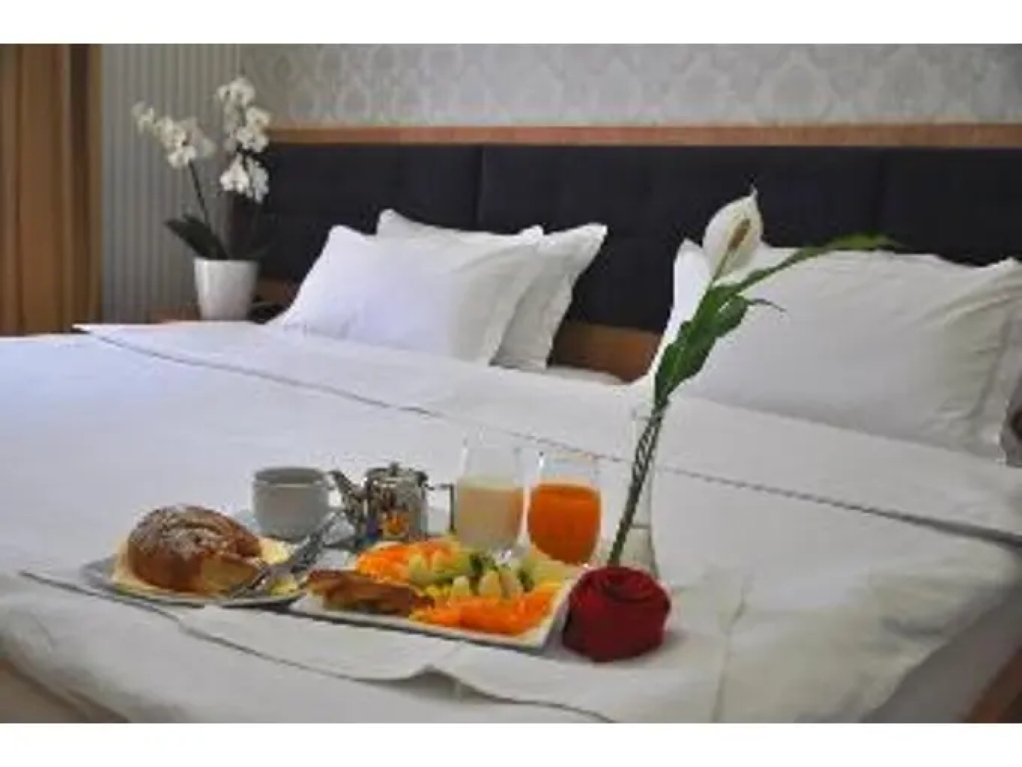 White Dream Hotel
