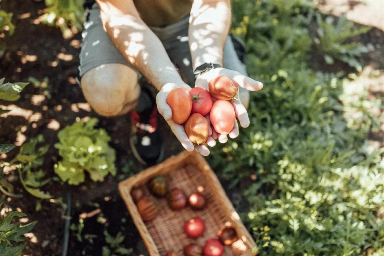 Biohotel theiner's garten