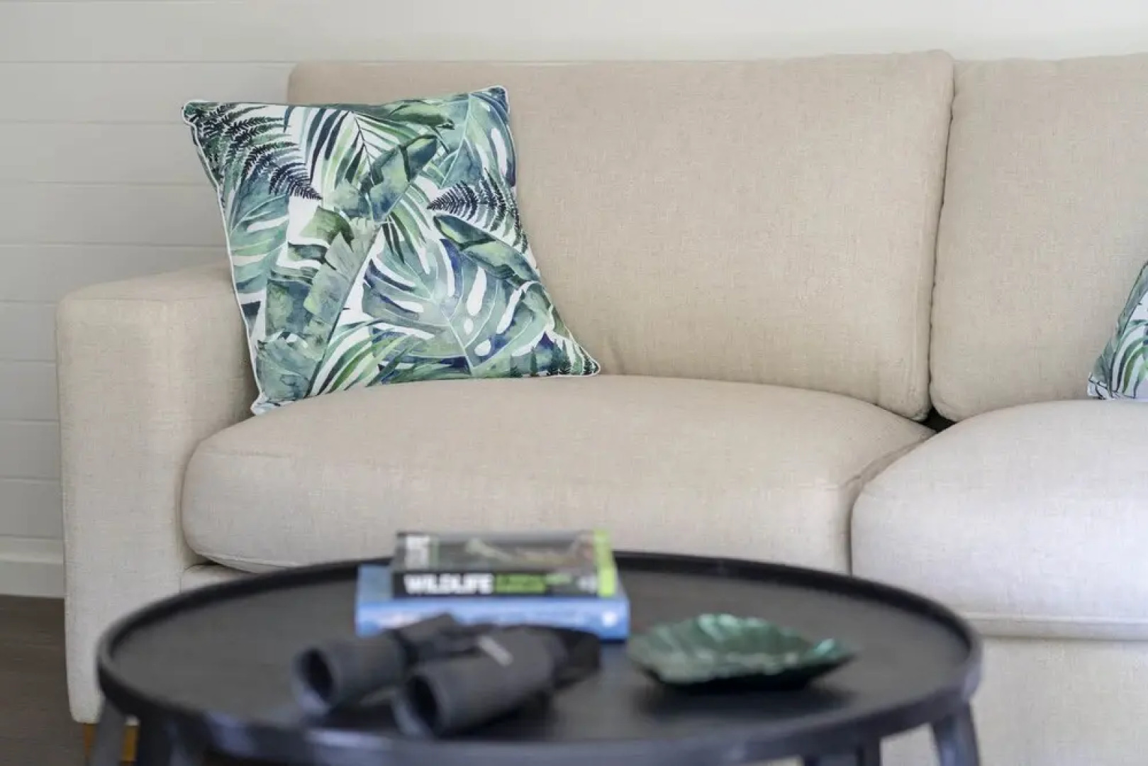 mist at Cape Tribulation