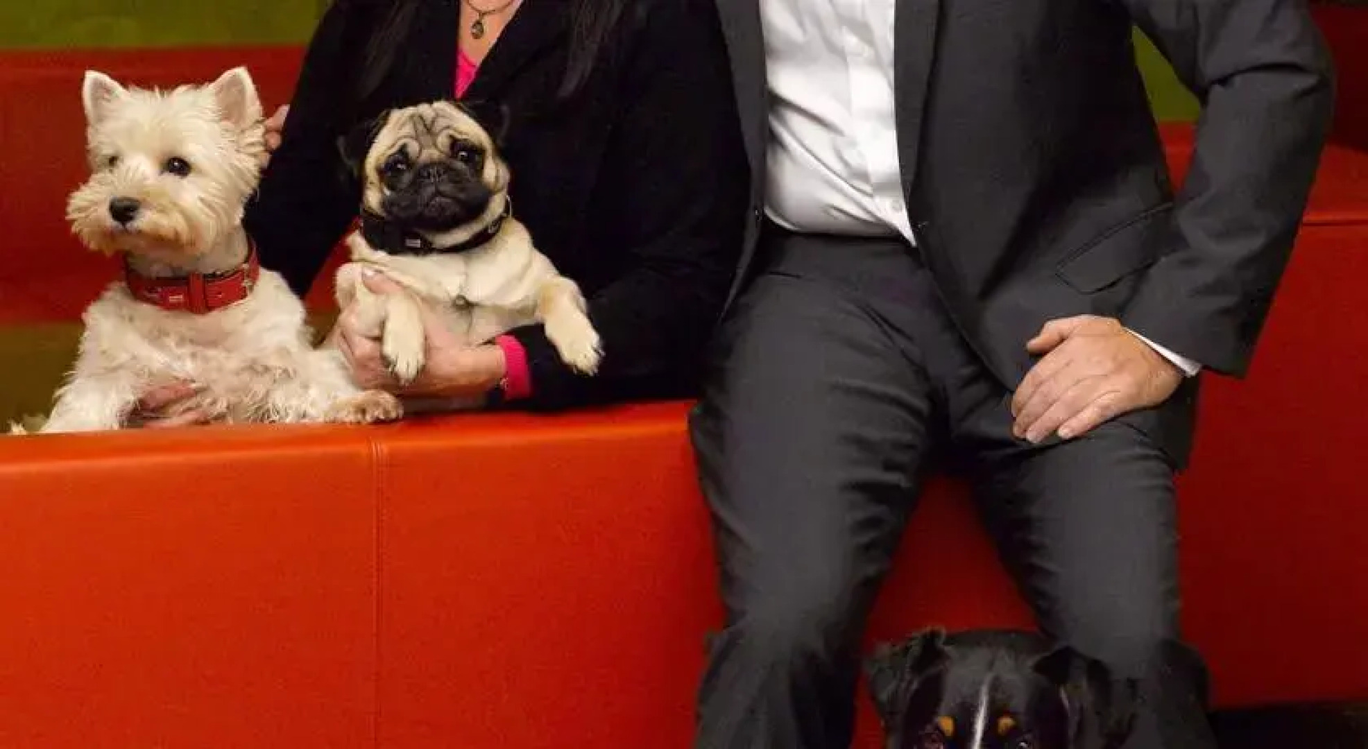 Die Residenz Bad Vöslau