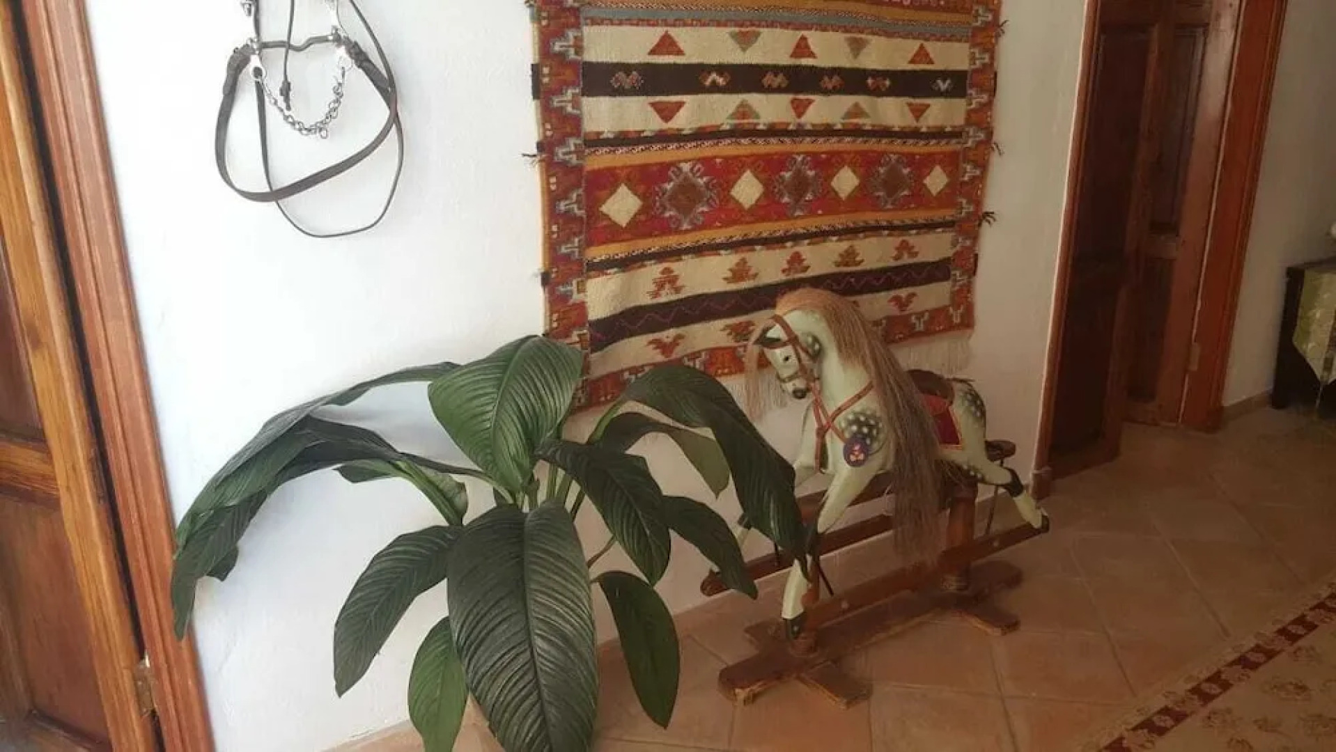 Ziggy's Mountain Retreat