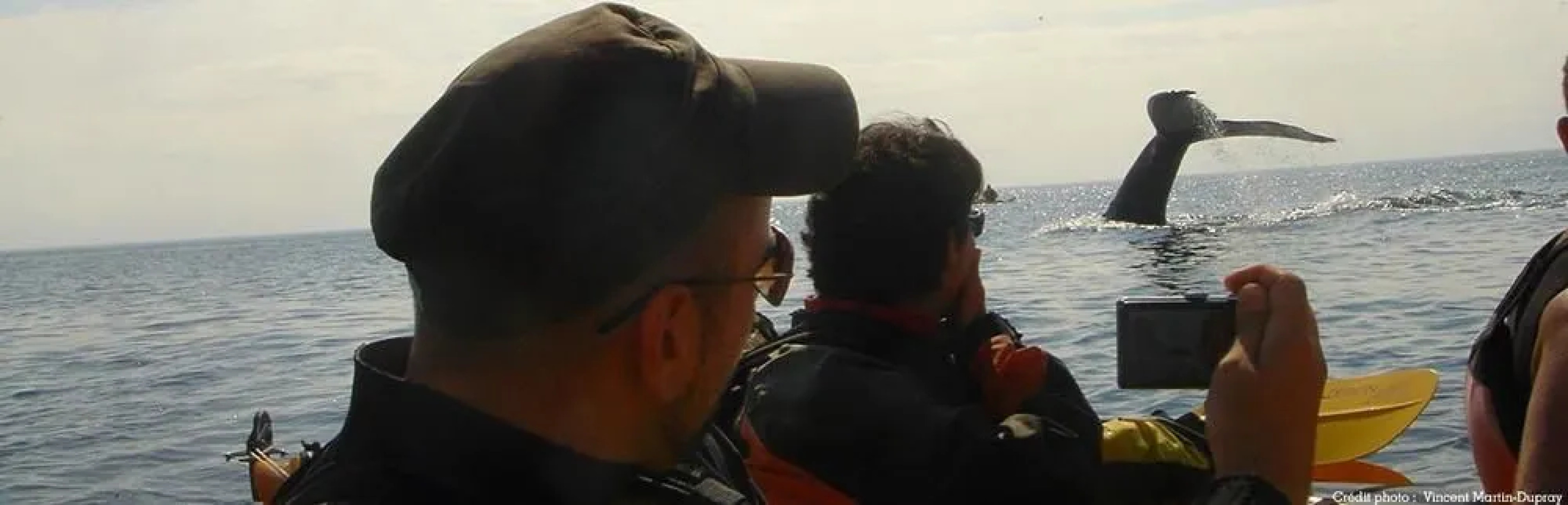 Gîte La Bergeronnette