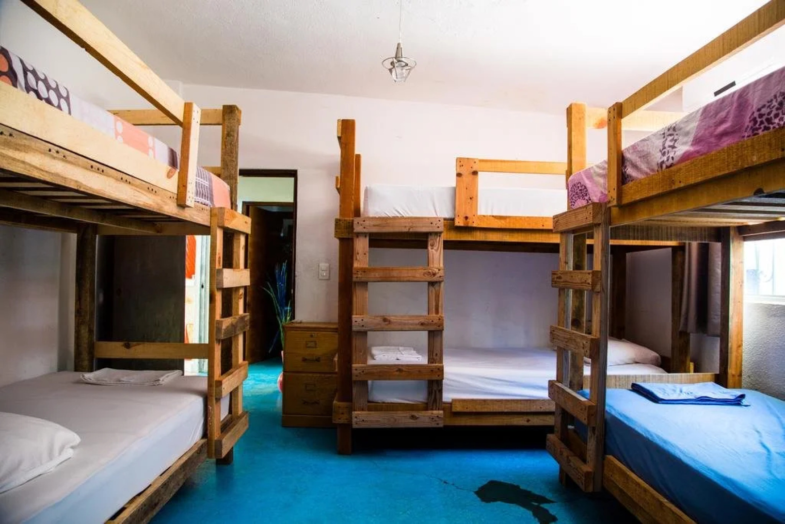 Ocean Tigers Hostel