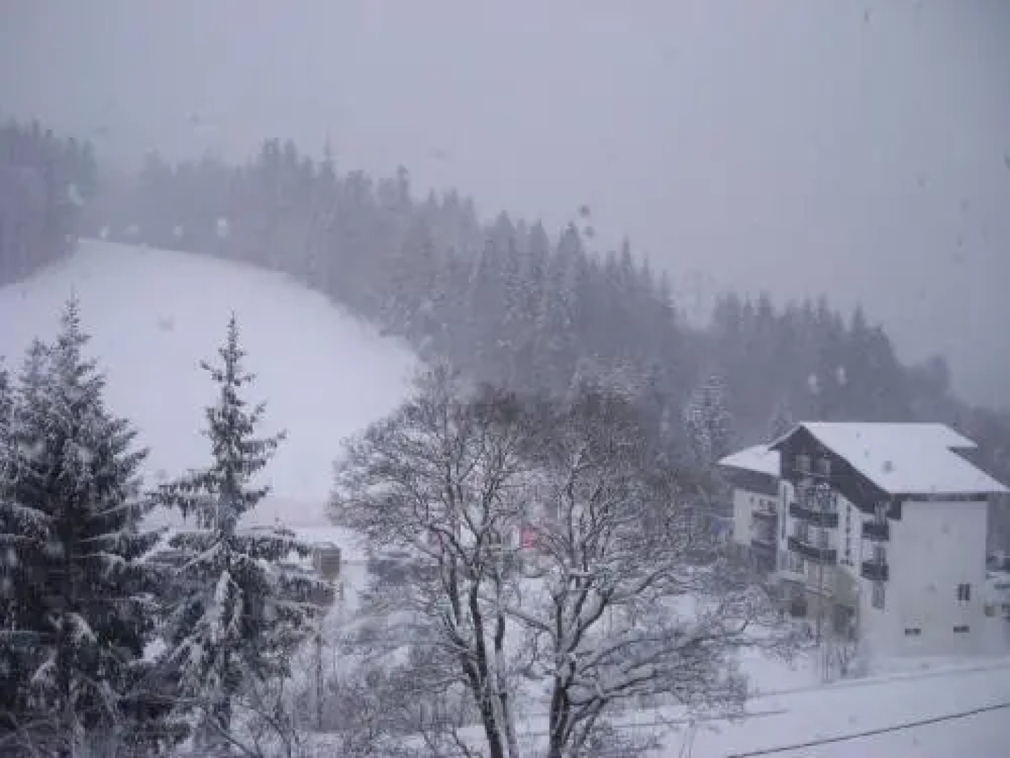 Sia Mountain Apartment