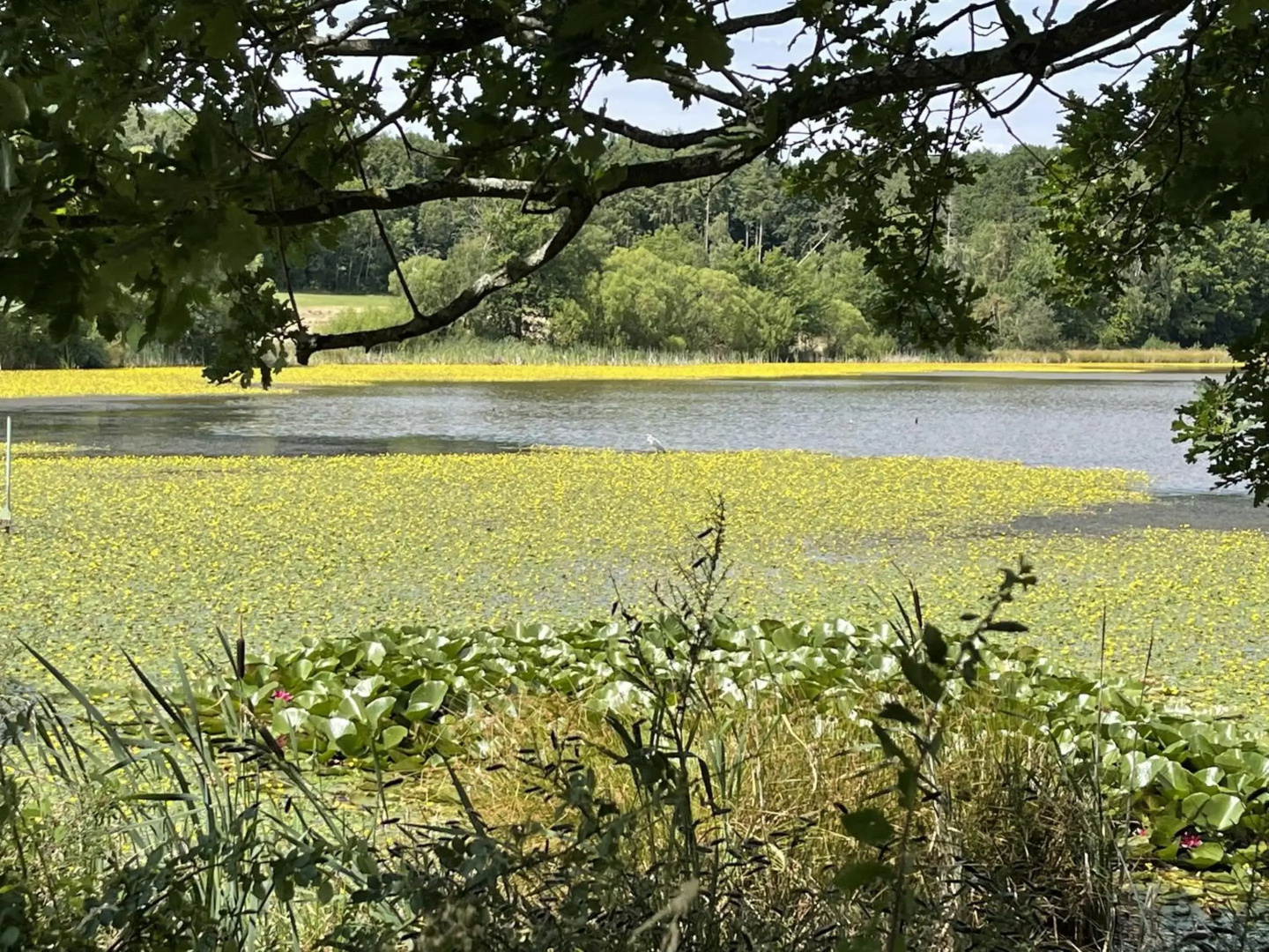 Landhotel Maarheide