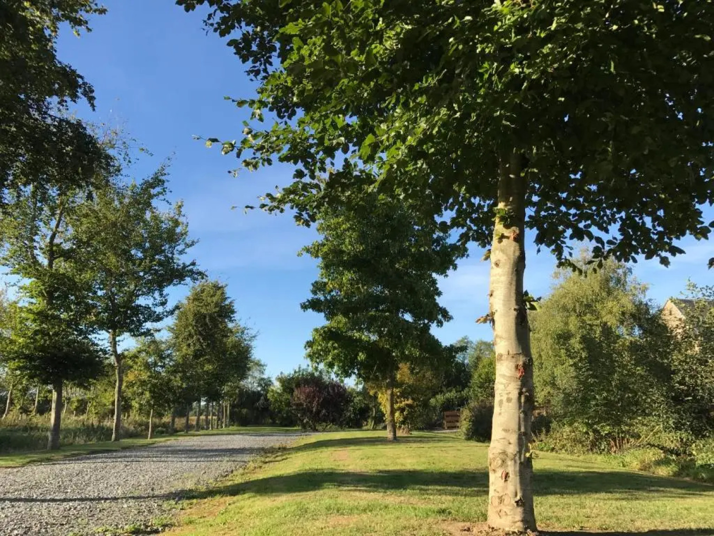 Domaine Des Hêtres