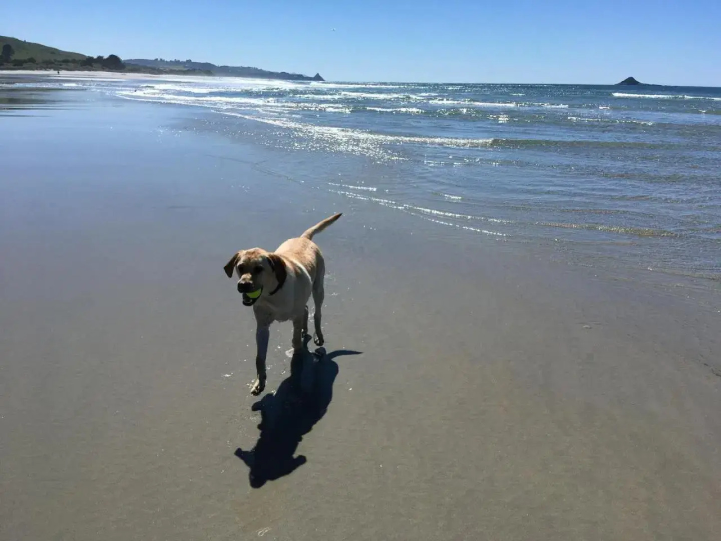 Stay in School by the Sea