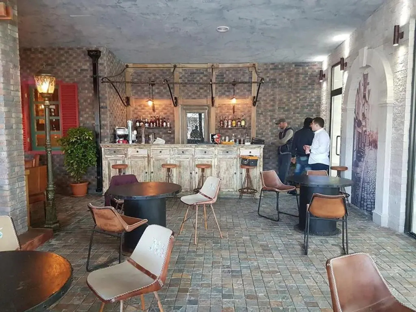 Luxury Oasis Apartment