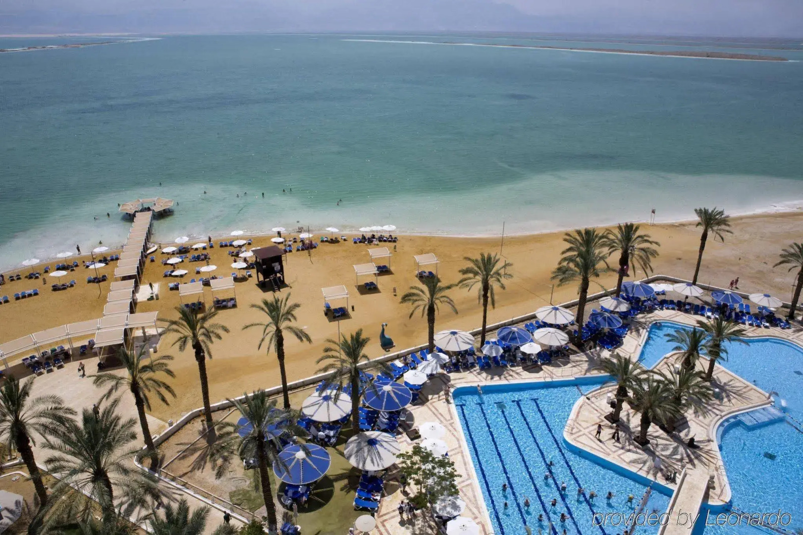 Vert Dead Sea