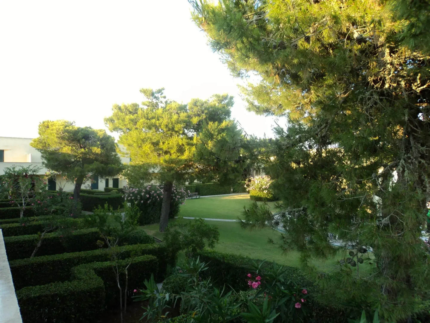 Residence Altair-Serra Alimini 3