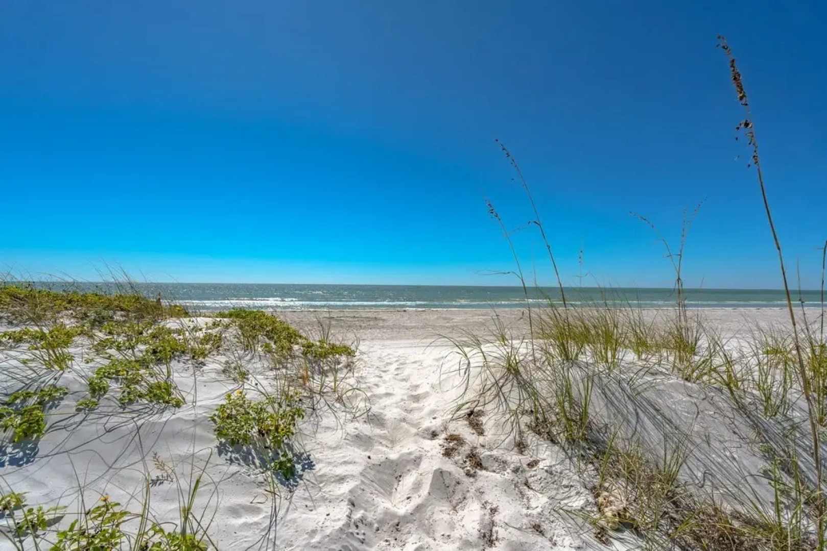 Shorehouse 401 by Vtrips