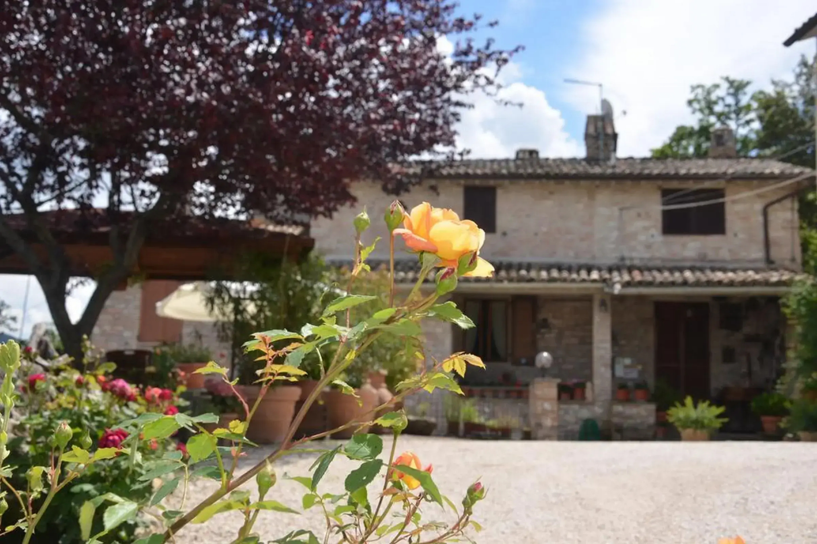 La Terrazza del Subasio
