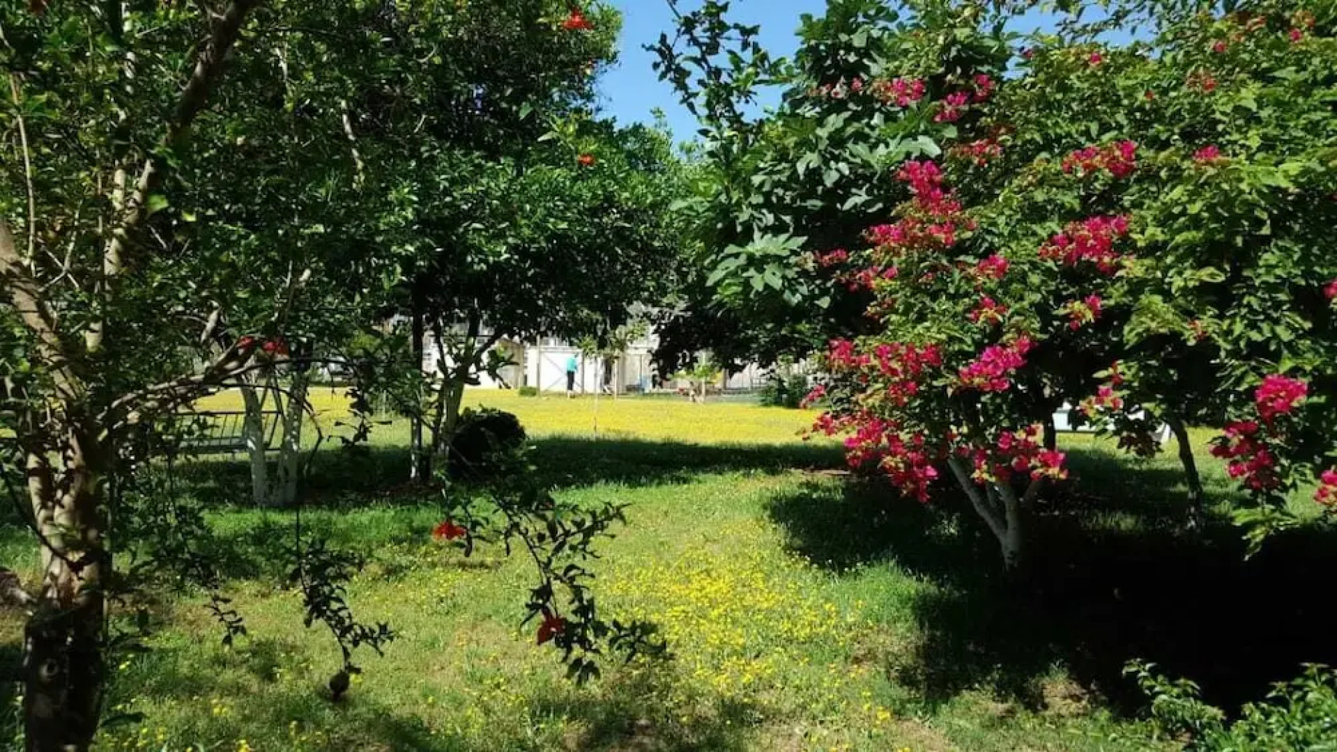 Saint Francis Bed & Breakfast