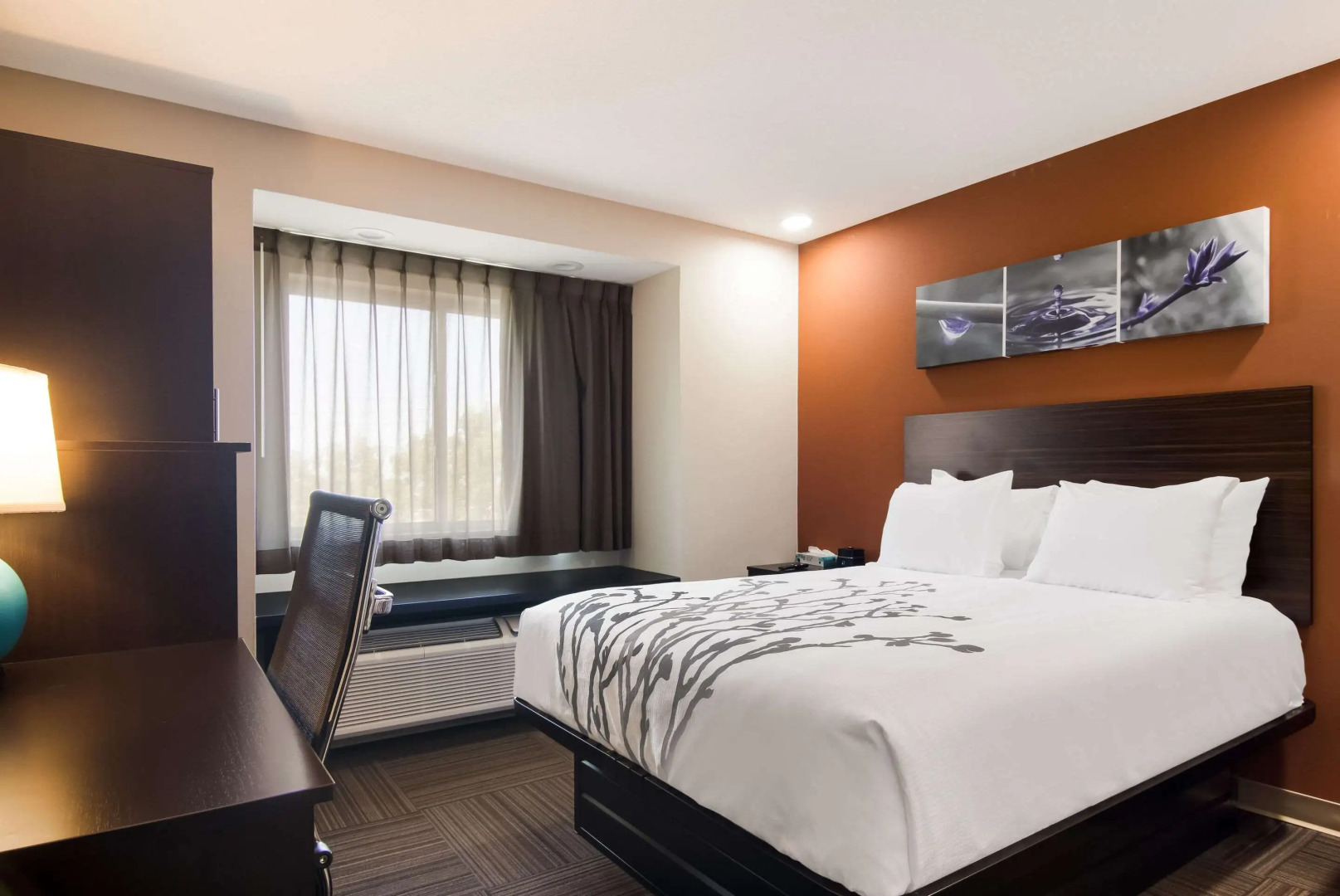 Sleep Inn Erie near Sports Center