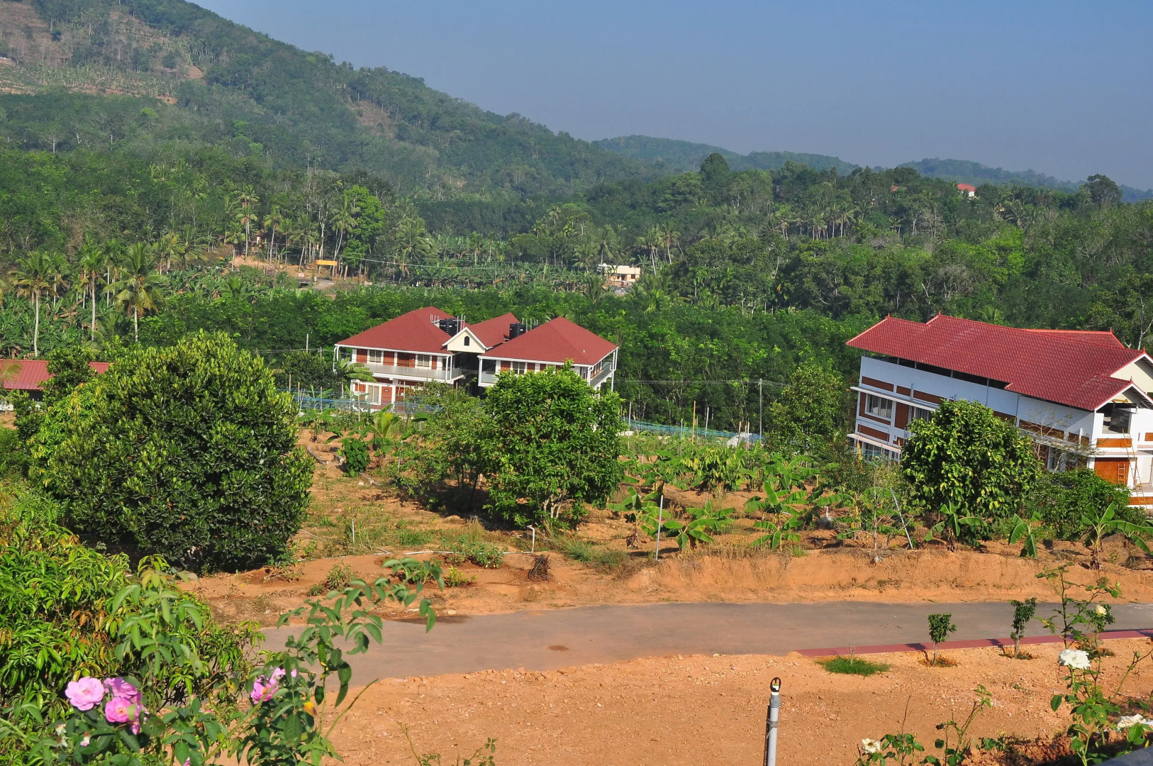 INDIMASI - Ayurveda & Healing Village