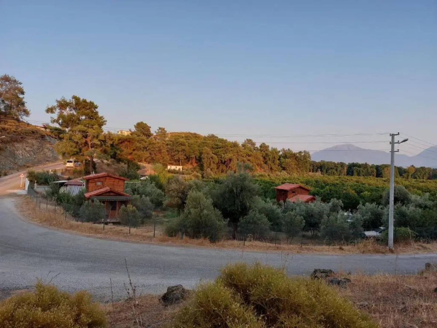 olive garden bungalow