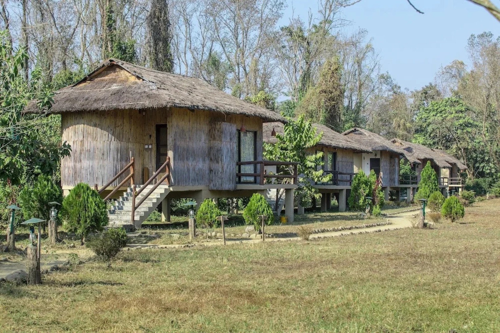 Temple Tiger Green Jungle Resort