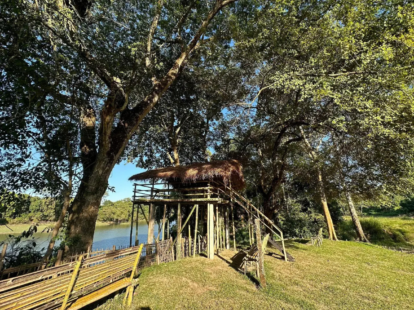 Jungleciti House Kaziranga National Park