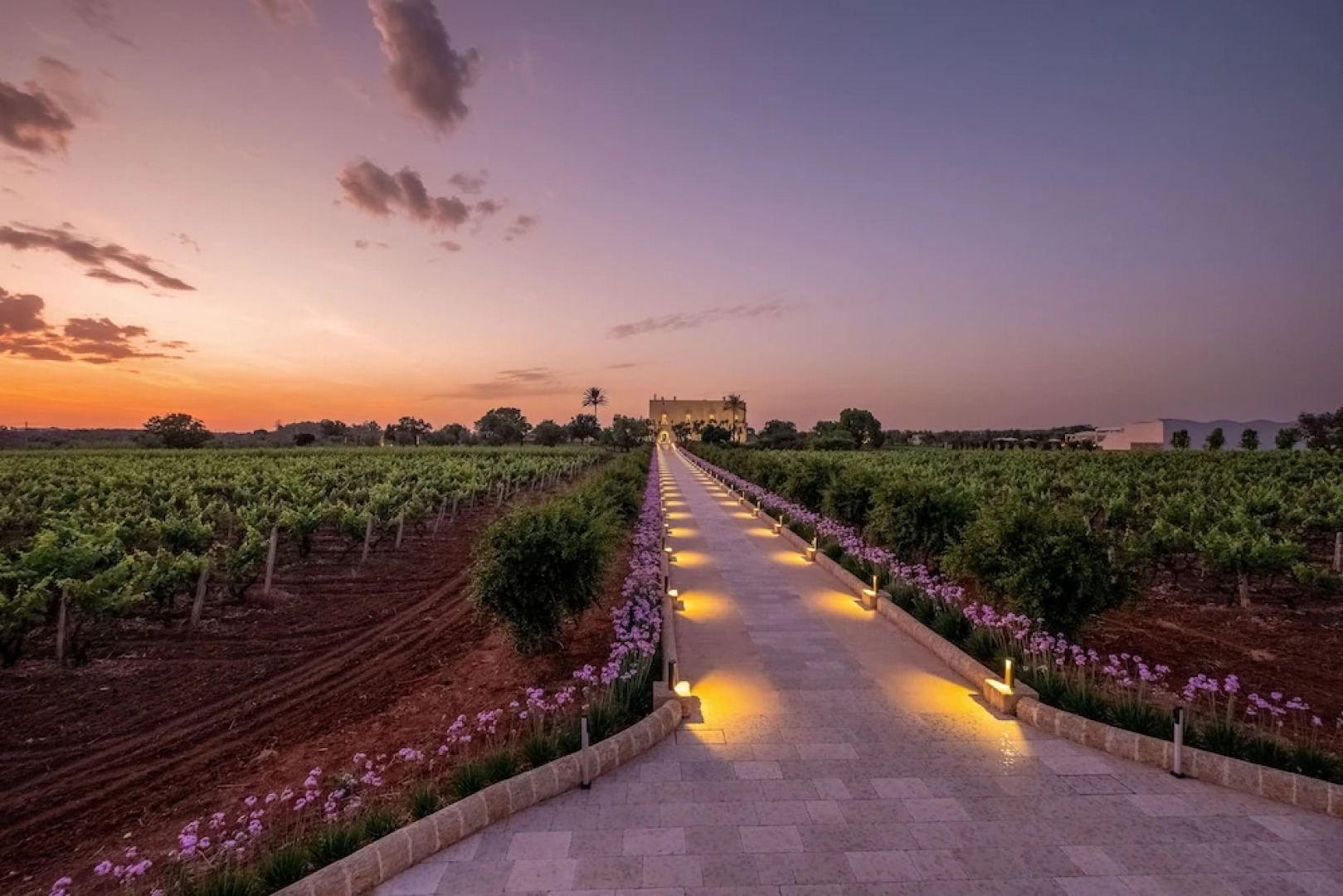 Tenuta Rocci Cerasoli