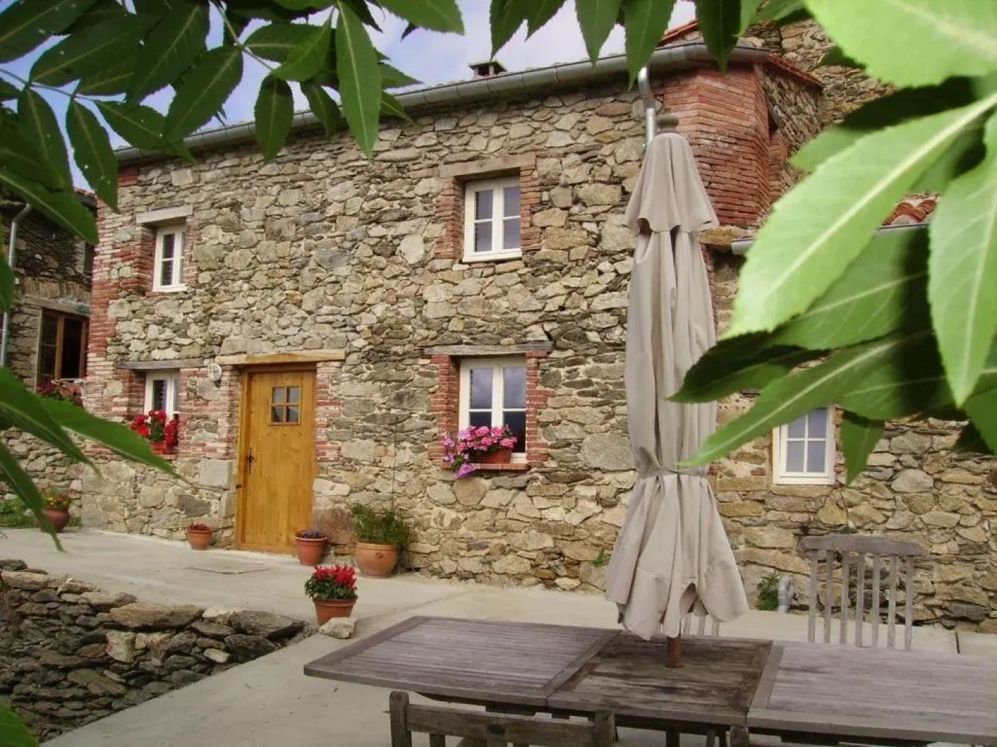 Mas Taillet Le Camelia