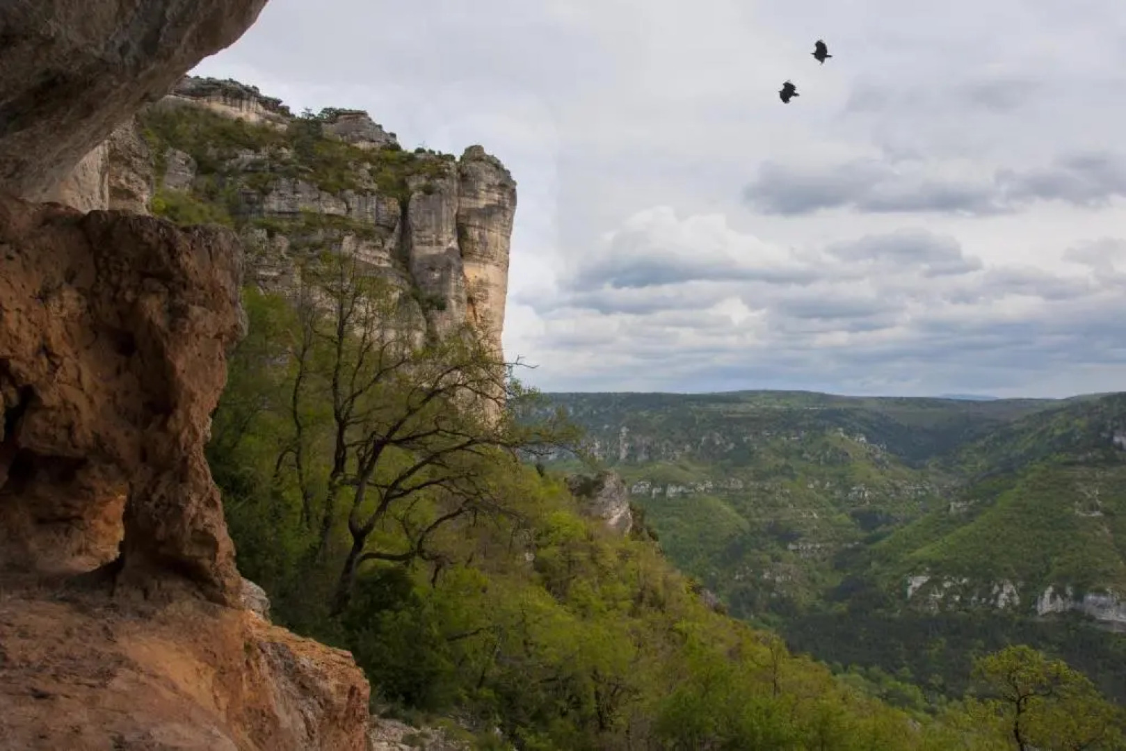 Le Colombier Saint Véran