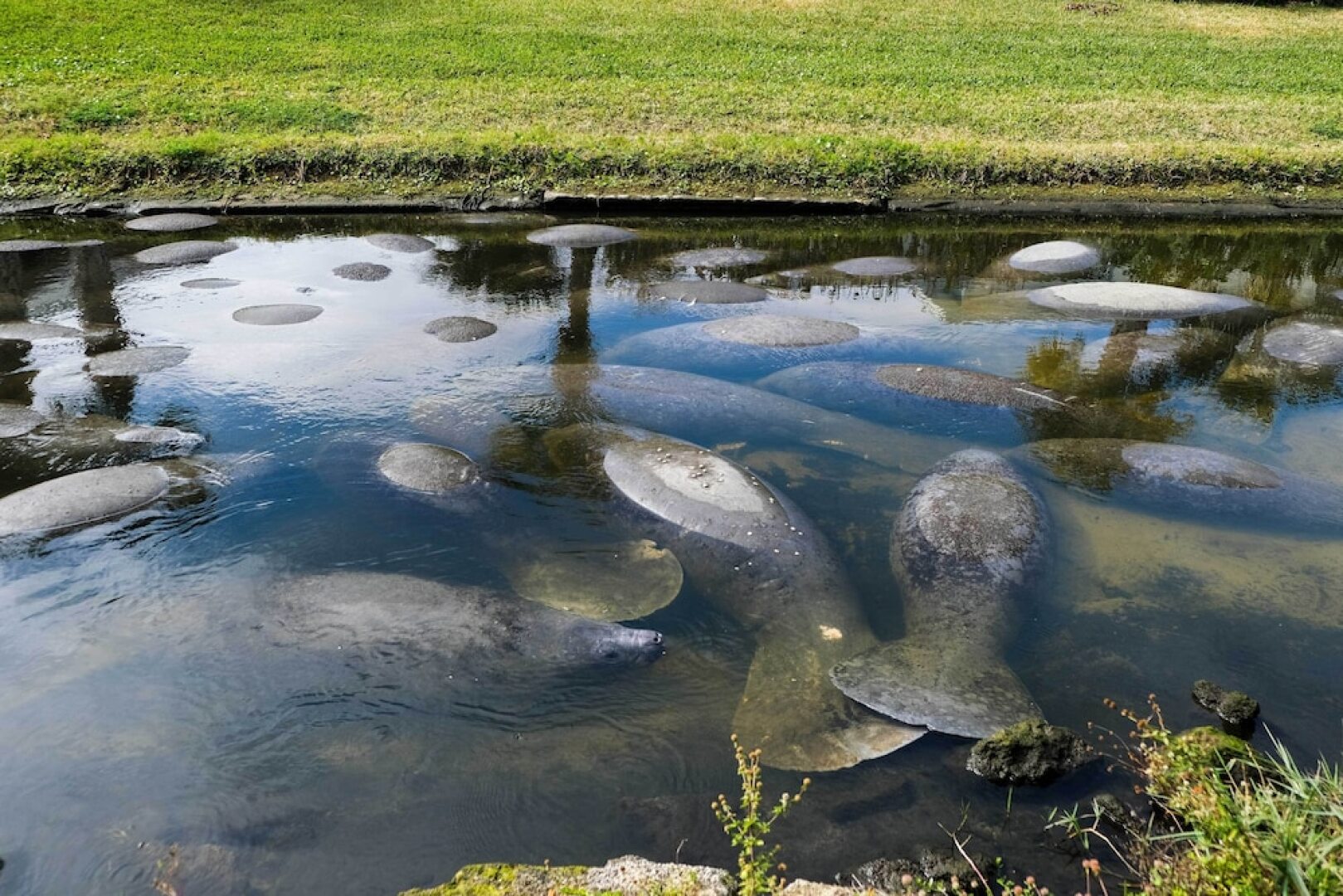 Satellite Beach Townhome w/ Patios, & Beach Gear