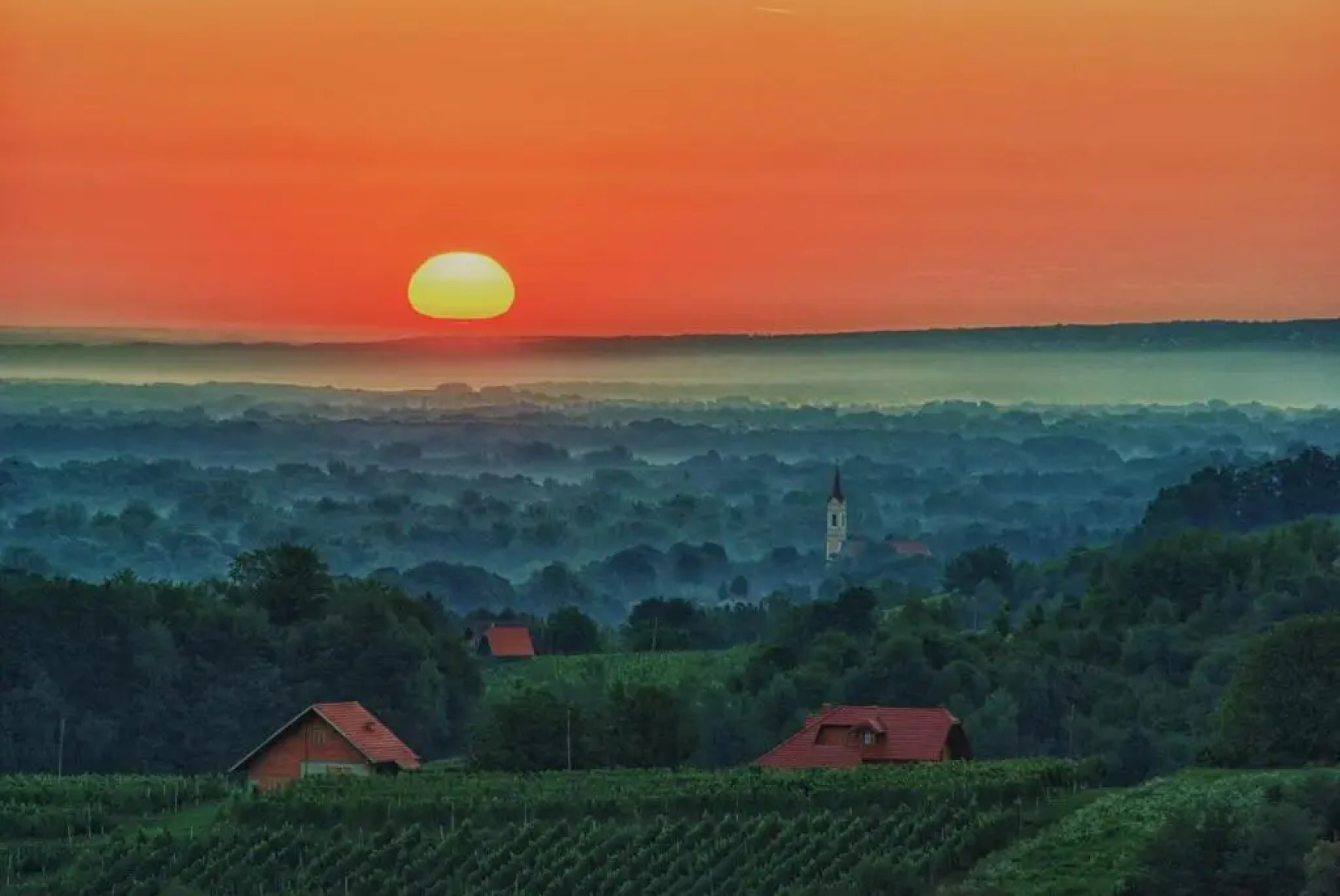 Vineyard Cottage -wine Tours -wellness -adventures