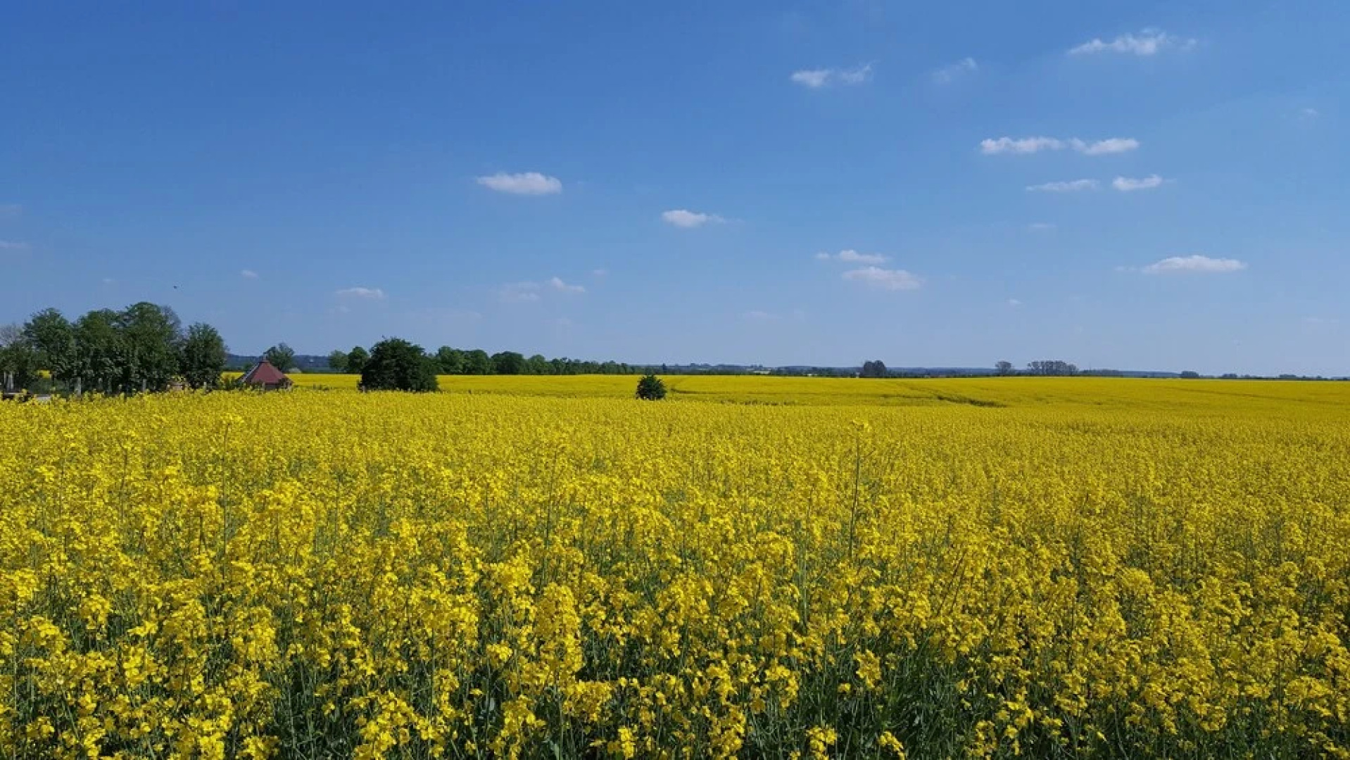 Seminar und Landhaus Schönbeck