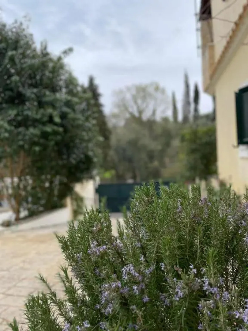 Villa Anasandra - 3 bedroom Villa