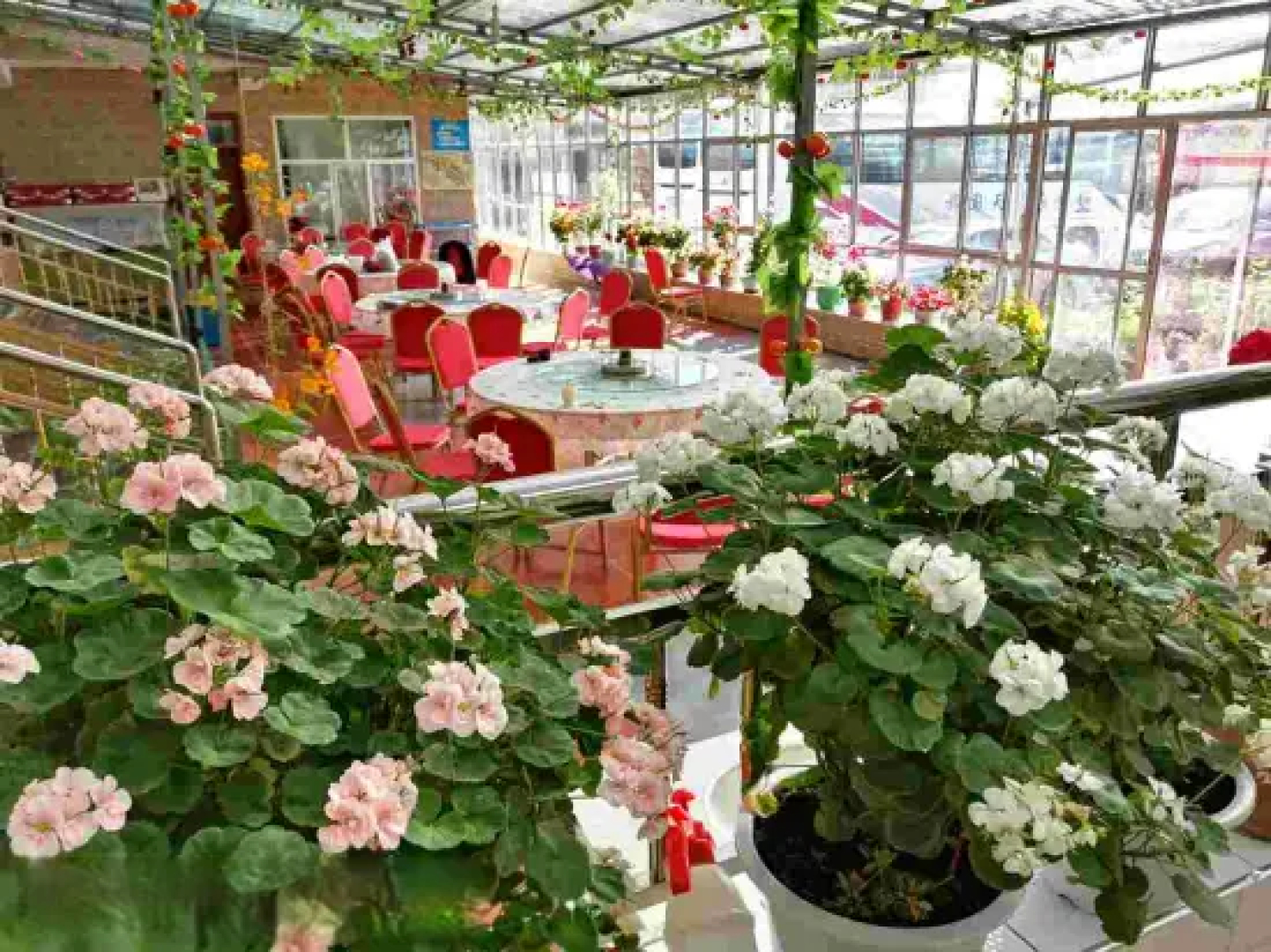 Yijia Guest House