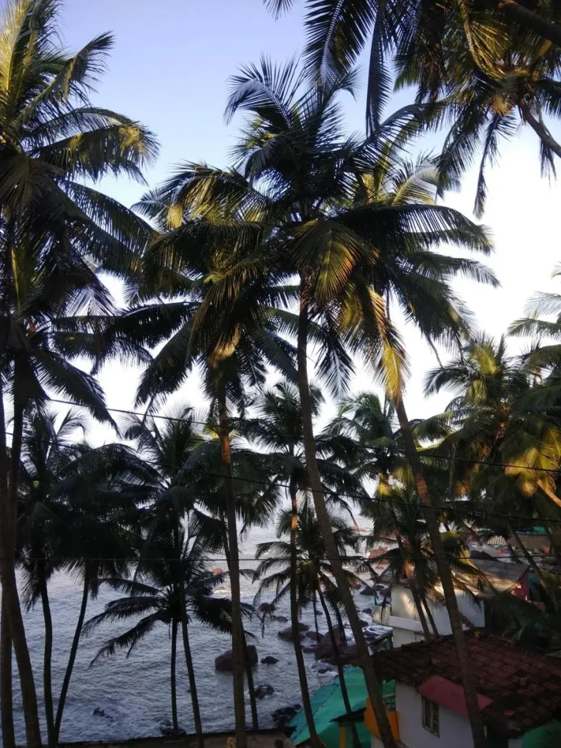 Goroomgo Om Ganesh Naik Cliff Side Guest House Goa