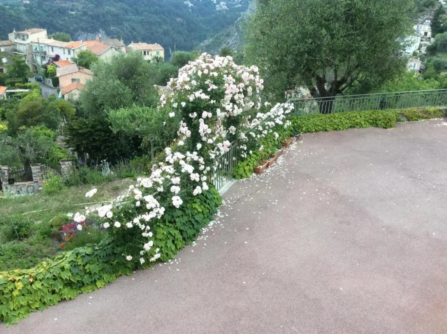 Room in Apartment - Beautiful F1 standing swimming pool, view