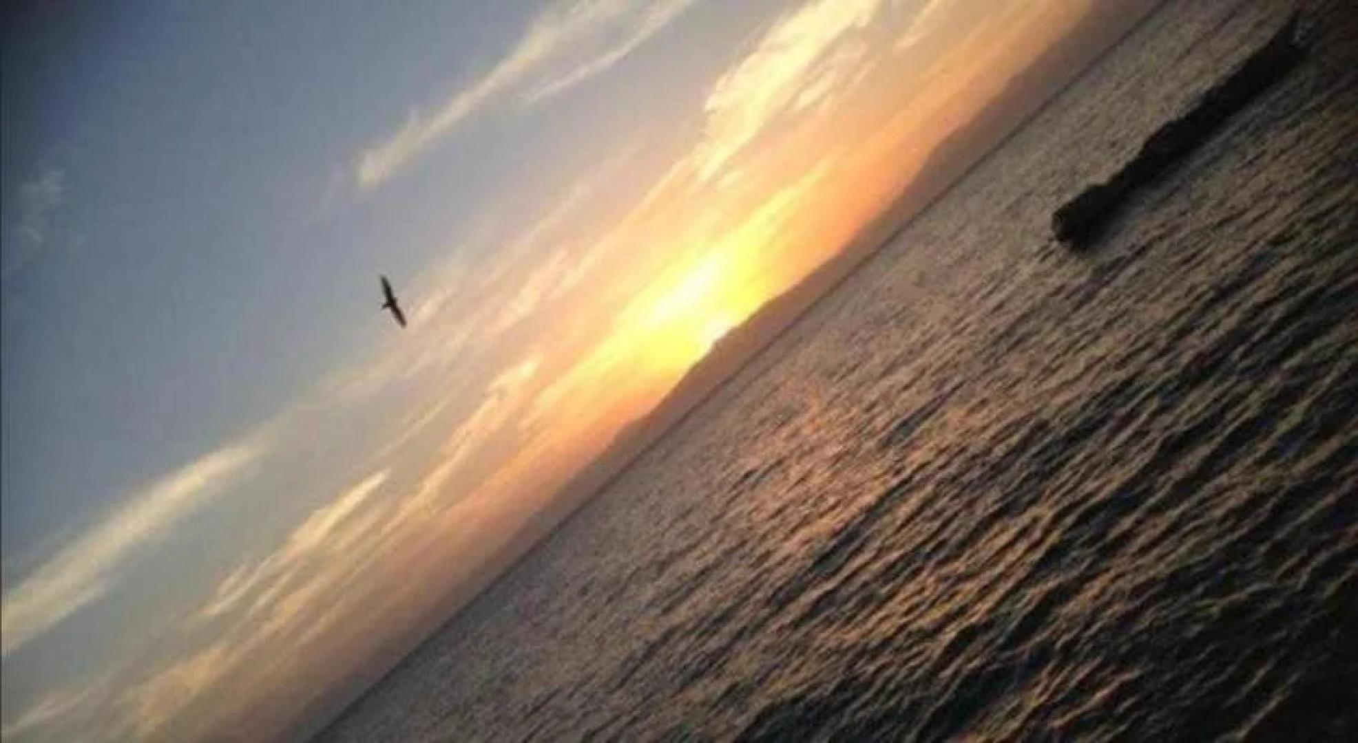 D Alegre Travellers Inn