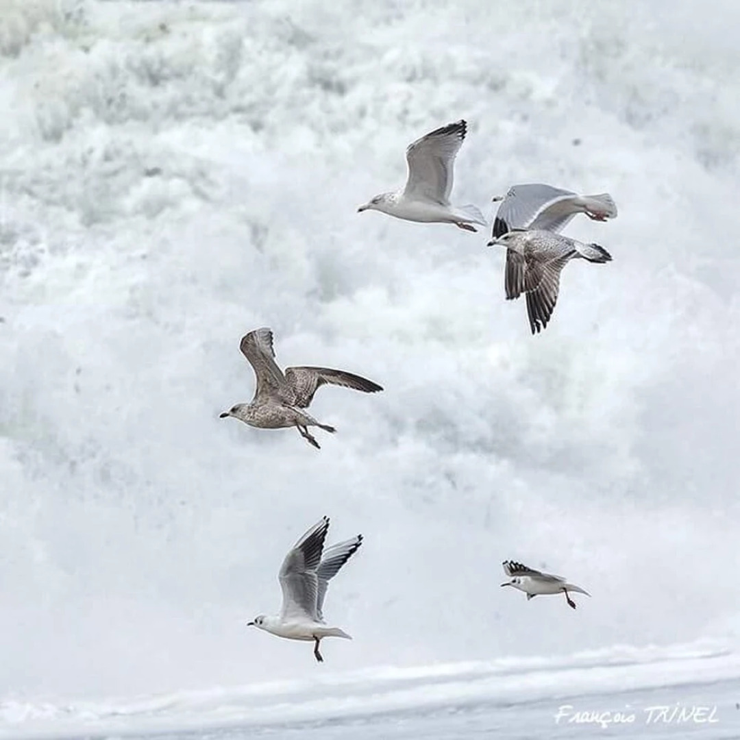 House With 2 Bedrooms in Kerlouan, With Enclosed Garden and Wifi - 150