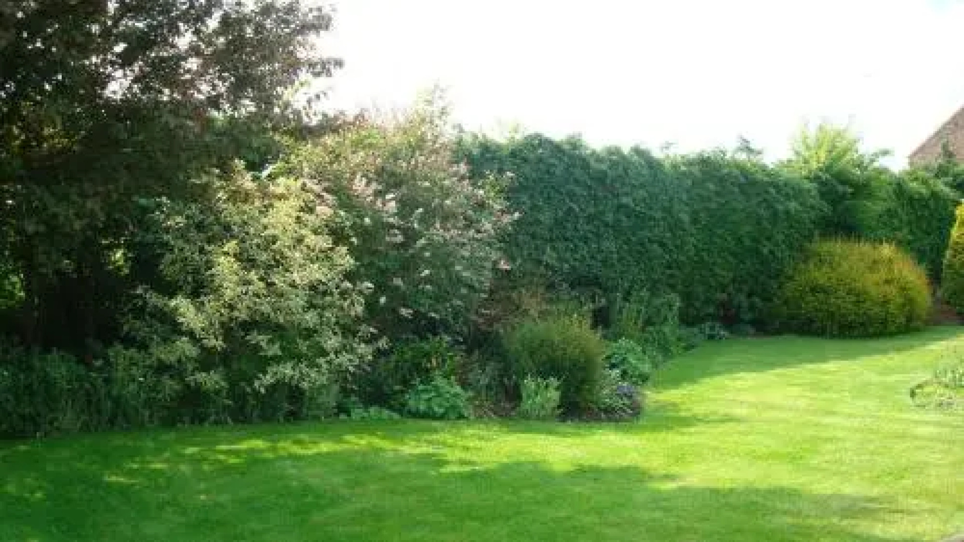 The Homestead Bed & Breakfast