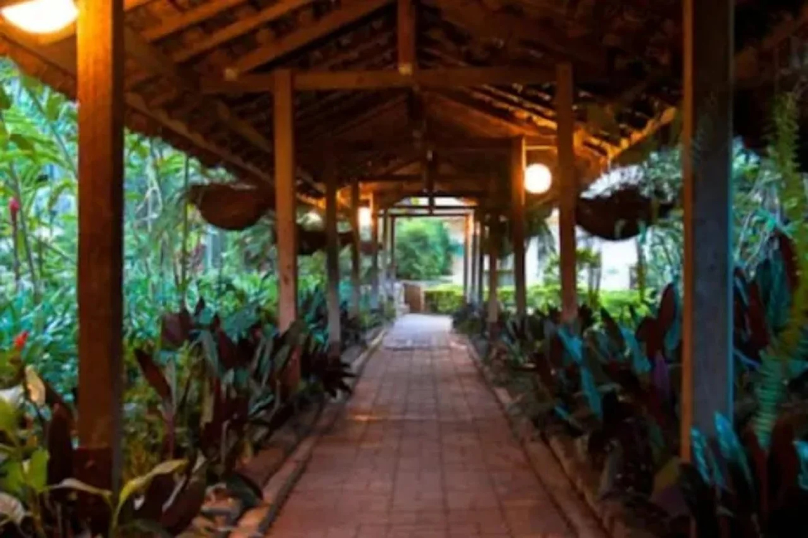 Bird of Paradise Hotel & Apartments