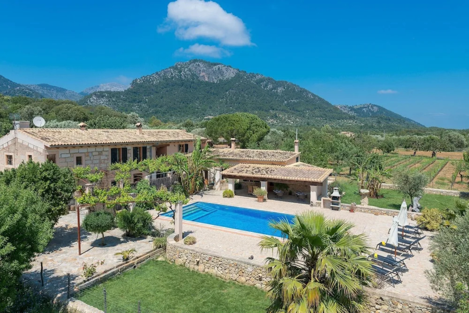 SA Parellada - Premium