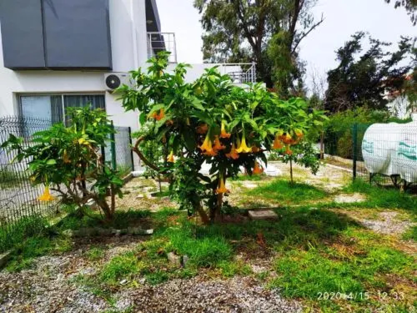 White Suit Apartment