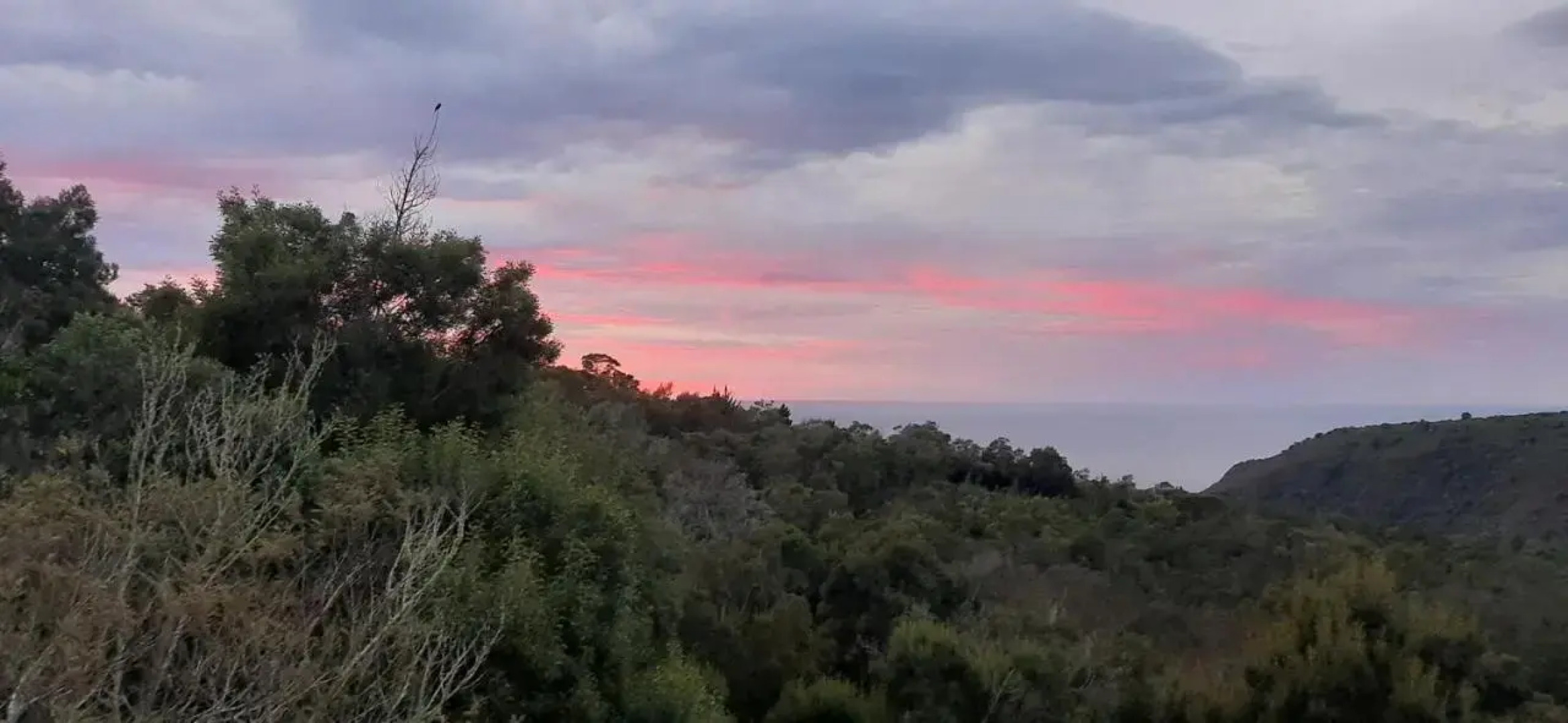 Oriole Serene Self Catering Studio