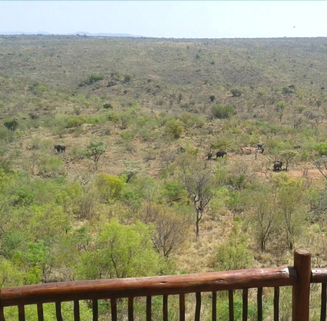 Mabalingwe Uzuri Game Lodge