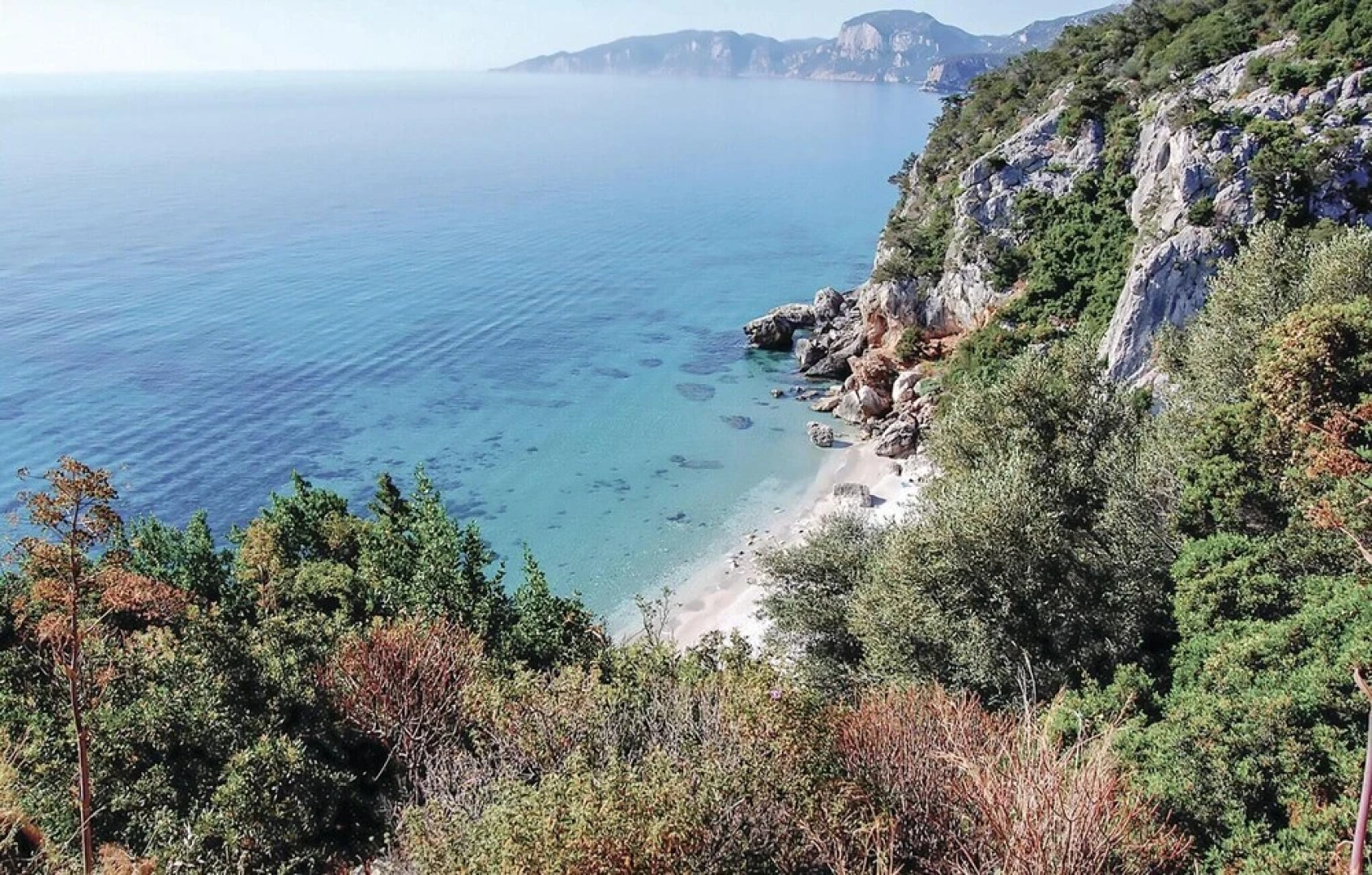 Rustico gli Oleandri