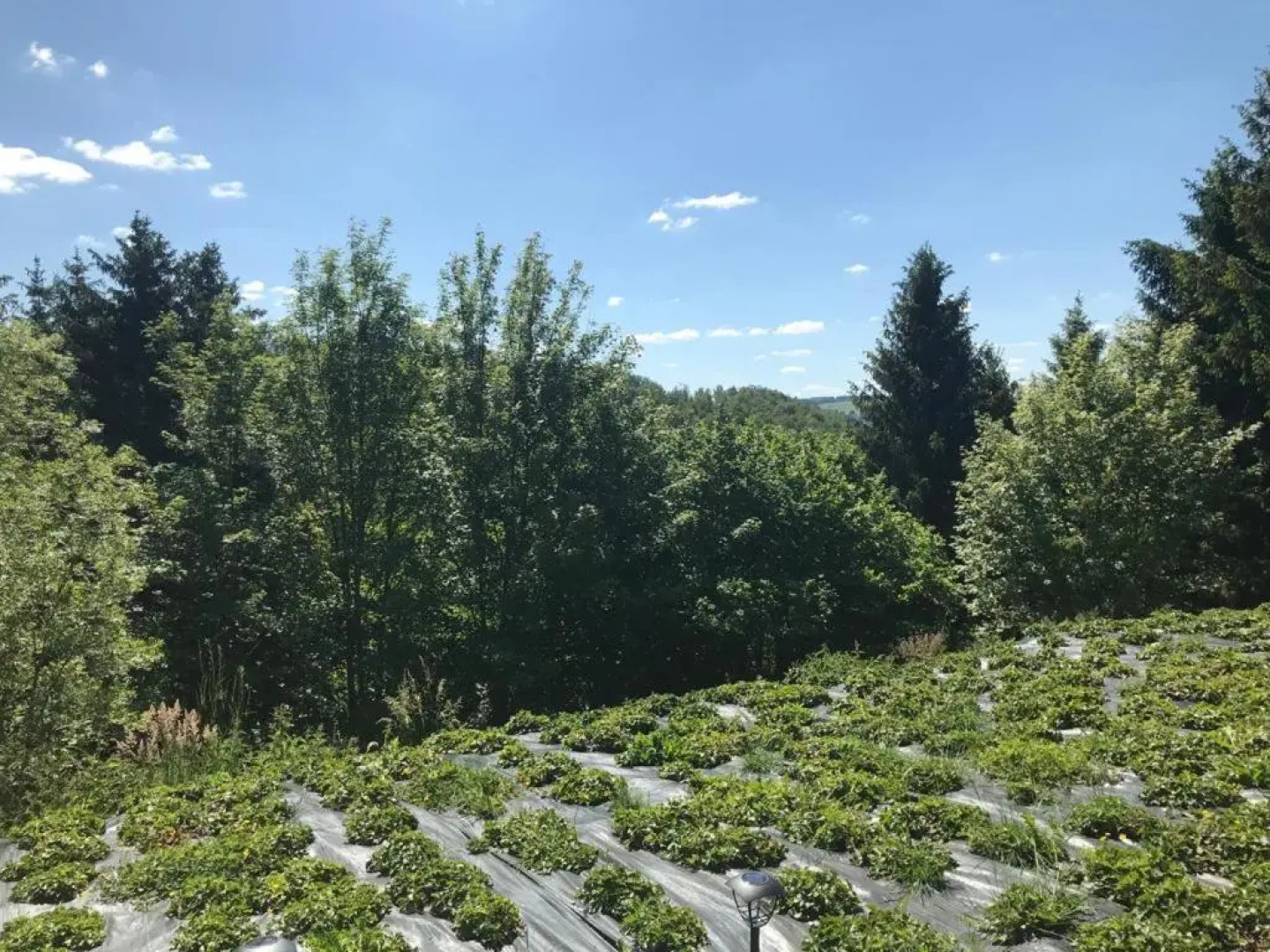 Terrasses de Malmedy Studio 332