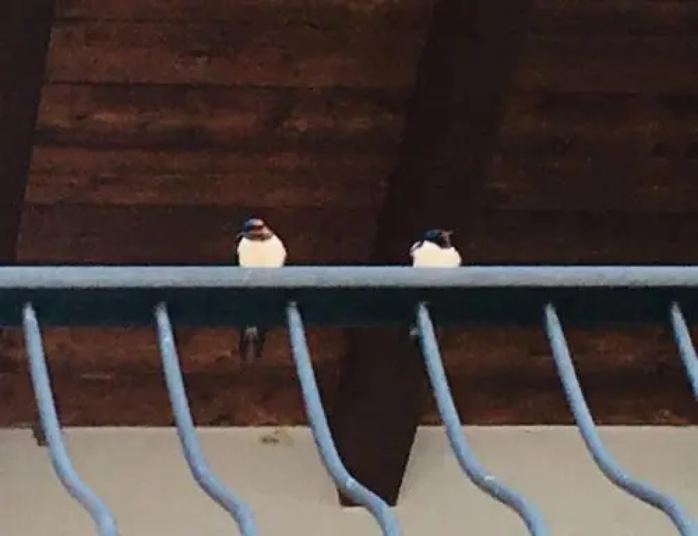 Res. Michelangelo Resort 252S