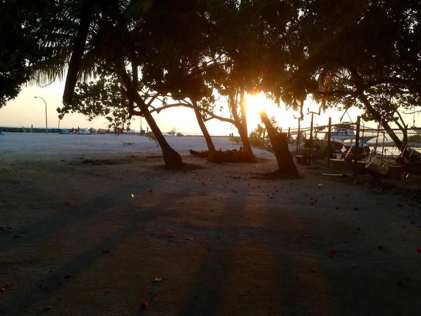 Gurus Maldives at Gulhi Island